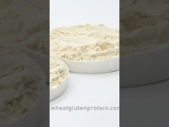 Gluten de blé vital, Gluten de blé, Gluten